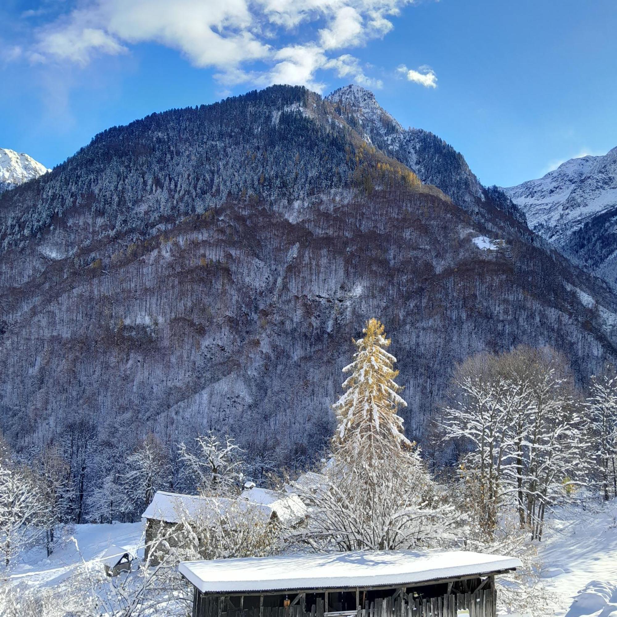Casa All'Alpe Gaggetto B & B Anzino 外观 照片