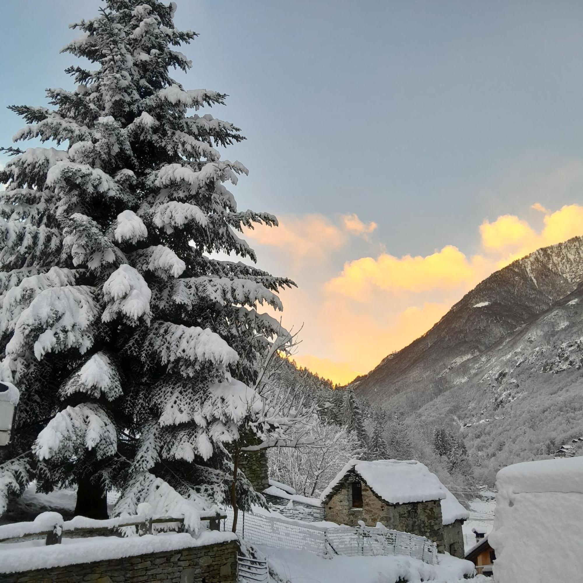 Casa All'Alpe Gaggetto B & B Anzino 外观 照片